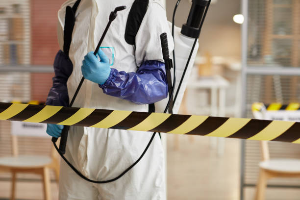 Professional Sewage Cleanup technician working in Nemaha, NE